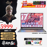 ThinkPad 思考本 聯(lián)想拯救者Y9000X 2024款A(yù)I元啟冰魄白酷睿i9標(biāo)壓 RTX4070獨(dú)顯輕薄游戲 設(shè)計(jì)X7/book16+便攜筆記本電腦