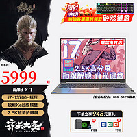 ThinkPad 思考本 聯(lián)想拯救者Y9000X 2024款A(yù)I元啟冰魄白酷睿i9標(biāo)壓 RTX4070獨顯輕薄游戲 設(shè)計X7/book16+便攜筆記本電腦