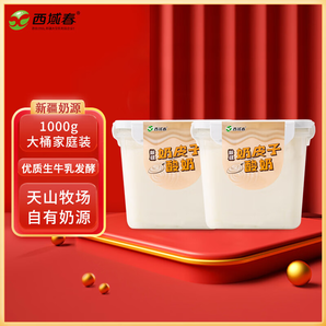 西域春 新疆低溫酸奶奶皮子1000g*1桶2斤大桶裝益生菌酸牛奶 奶皮子*2桶