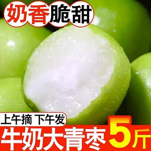 果迎鮮云南青棗 牛奶棗 棗子 新鮮水果 牛奶青棗 5斤