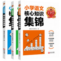 《王朝霞·小學(xué)英語(yǔ)核心知識(shí)集錦》（2024版、小學(xué)通用）