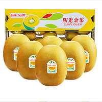 Zespri 佳沛 特大果 新西蘭奇異果 22粒原裝/ 單果170-230g