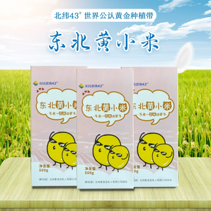 陽光北緯 東北黃小米 500g*3盒