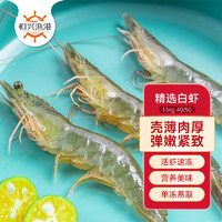 恒興食品 精選單凍白蝦1.5kg 加大號 40-50只/kg 大蝦海鮮 年貨聚餐