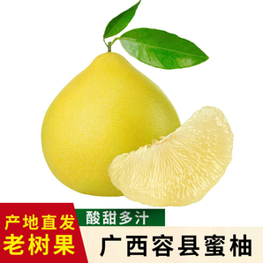 鮮友季容縣蜜柚正宗廣西柚子酸甜老樹白肉柚子產(chǎn)地直發(fā)新鮮水果 微瑕4-4.5斤（1-3個(gè)）