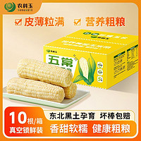 農(nóng)科玉 農(nóng)科院五常甜糯玉米 260g*10根