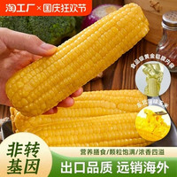 鋁箔包裝糯玉米 220g*8棒