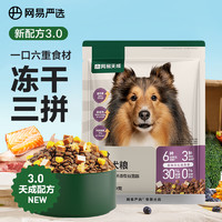 YANXUAN 網(wǎng)易嚴選 全價三拼犬糧 寵物主糧中大型犬成犬全期通用寵物食品 120g