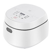 Panasonic 松下 SR-DL101 電飯煲 3.2L