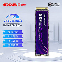 GUDGA 固德佳 GXF PROm.2nvme臺式電腦ps5筆記本512