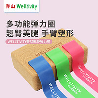 WELLTIVITY 健身彈力圈3件套