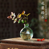 愛你一萬年 水培花葉絡石 圓球瓶+花葉絡石2株+營養(yǎng)液