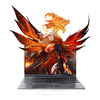 機(jī)械革命 翼龍15 Pro 15.3英寸游戲本 暮石灰（R7-8845H、24GB、1TB、RTX4060、2.5K）