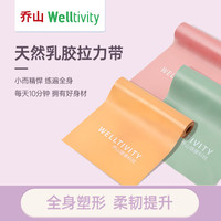 WELLTIVITY 伸展拉力帶3件套