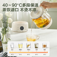 SUPOR 蘇泊爾 養(yǎng)生壺煮茶器 316L不銹鋼  SW-10Y04