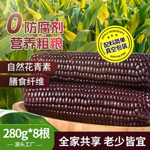 黑糯玉米 甜黏苞米棒280g*8根 