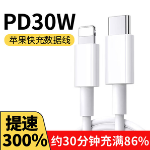 勒盛適用于蘋果16手機(jī)充電器快充頭充電頭type-c 30w35w數(shù)據(jù)線插頭套裝iphone15promax/pro/14/13/12 PD30W快充線長2米（適用蘋果5-14系列使用）