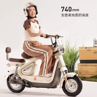 Yadea 雅迪 冠能6代 C60-D 電動自行車