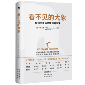 看不見的大象：如何用長遠思維預測未來（精裝）（警惕黑天鵝，防備灰犀牛，馴服看不見的大象  構建長遠思維，讀懂耐心資本）