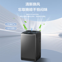 Haier 海爾 波輪洗衣機全自動家用 12公斤大容量 升級除螨 抗菌 全桶換風 國補
