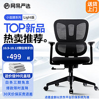 YANXUAN 網(wǎng)易嚴(yán)選 小蠻腰S5 人體工學(xué)椅 無頭枕無擱腳