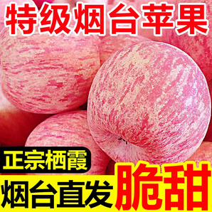 正宗煙臺大果紅富士蘋果農(nóng)場新鮮脆甜可口整箱優(yōu)質(zhì)水果現(xiàn)摘包郵