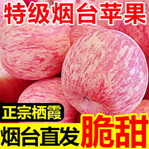 正宗煙臺(tái)大果紅富士蘋(píng)果農(nóng)場(chǎng)新鮮脆甜可口整箱優(yōu)質(zhì)水果現(xiàn)摘包郵