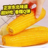 農(nóng)投康良 東北黃糯玉米 220g*8棒