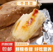 20點！京喜 河南哈密冰糖心白薯 3斤 大果（400g+）