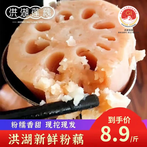 洪湖農(nóng)家洪湖粉藕 蓮藕 火鍋食材 生鮮 新鮮蔬菜 洪湖蓮藕  湖北特產(chǎn)買菜 洪湖粉藕-5斤裝