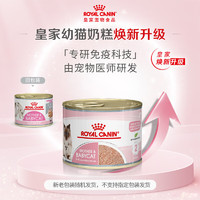 ROYAL CANIN 皇家 奶糕主食貓罐頭 195*23罐  贈：幼貓濕糧85g*2罐