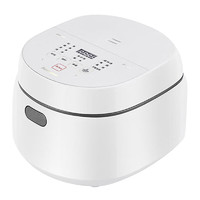 Panasonic 松下 SR-DL101 電飯煲 3.2L