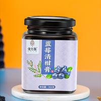 風雅桃笛 食方集 藍莓青柑膏 300g*1罐