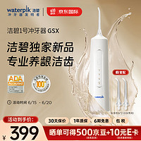 waterpik 潔碧 GSX  沖牙器