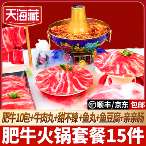 天海藏 肥牛火鍋套餐15件（肥牛150g*10包+牛肉丸+魚丸+魚豆腐+親親腸+甜不辣）