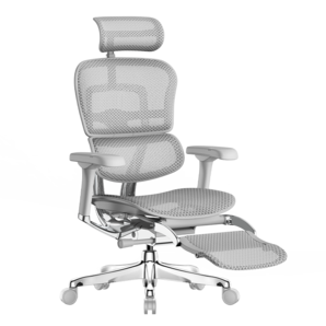 Ergonor保友金豪e2代高端人體工學(xué)椅電腦椅辦公椅電競(jìng)椅子 銀白網(wǎng)+躺舒寶
