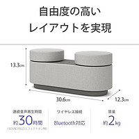 SONY 索尼 HT-AX7 真無線便攜式藍(lán)牙音響