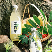 HOPE WATER 好望水 果汁氣泡水 望檸萌 300ml*6瓶