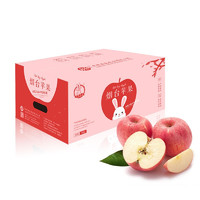 京覓 煙臺(tái)蘋果 單果果重230g+ 共4kg