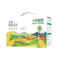 SHI YUE DAO TIAN 十月稻田 鮮食玉米 （220g*10根）2.2kg