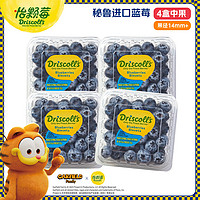 Driscoll's Only the Finest Berries 怡顆莓 Driscoll’s 秘魯進口藍莓中果14mm+ 4盒 125g/盒