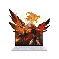 機(jī)械革命 翼龍15 Pro 15.3英寸游戲本（R7-8845H、32GB、1TB、RTX 4060）