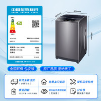 Haier 海爾 大神童系列 EB80M30Mate1 定頻波輪洗衣機 8kg 博卡灰