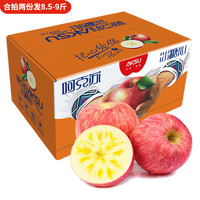 AKSU AKESU APPLE 阿克蘇蘋果 新疆冰糖心蘋果 2.25kg