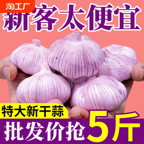 【新干蒜】山東紫皮大蒜頭批發(fā)價新鮮大蒜新干蒜頭農(nóng)家自種包郵