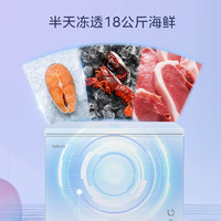 WAHIN 華凌 美的300升家用商用冰柜大容量 減霜 一級能效節(jié)能低霜臥式冰箱BD/BC-300KWH  300升家商兩用冷柜