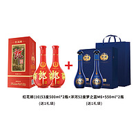 LANGJIU 郎酒 紅十 500ml*2瓶+洋河夢(mèng)之藍(lán)M6+ 550ml*2瓶