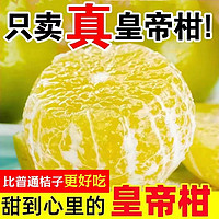 特大果 廣西武鳴 皇帝柑 4.5斤裝 單果60mm以上