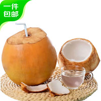 京百味 海南黃金椰子2個裝 單果1.5kg+   贈開果器吸管