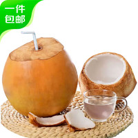 京百味 海南黃金椰子2個(gè)裝 單果1.5kg+   贈(zèng)開果器吸管